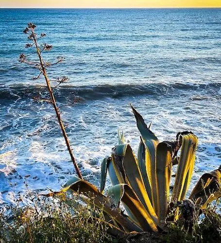 Διαμέρισμα La Casa Di Agnese Σαν Ρέμο